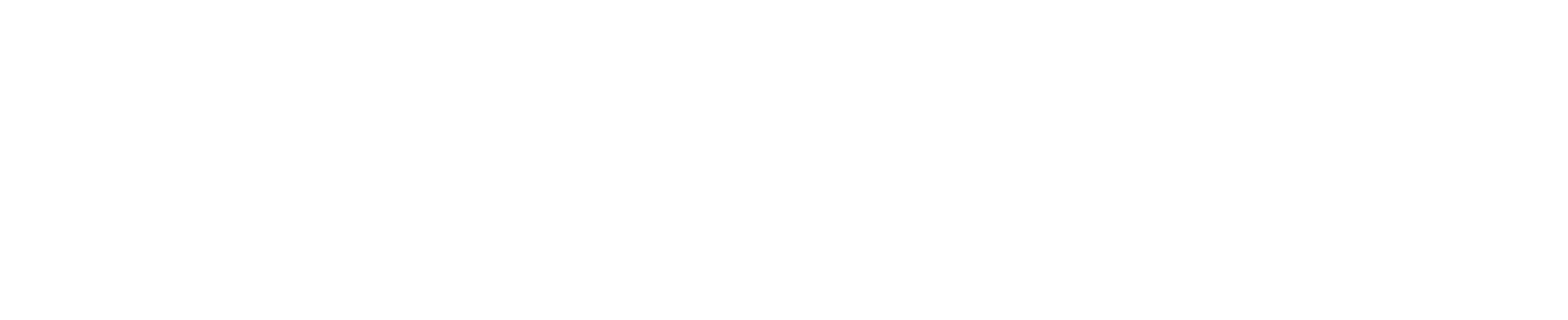 logo HOLOSUN